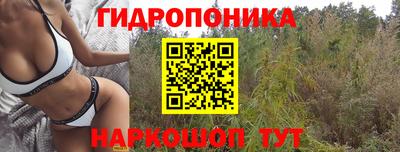 гидра Апрелевка