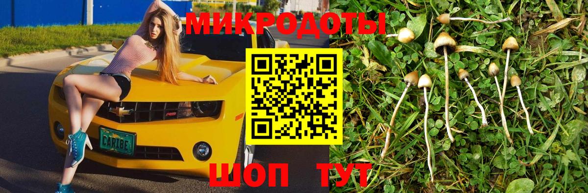 Псилоцибиновые грибы GOLDEN TEACHER  купить наркоту  Пенза  Галлюциногенные грибы Psilocybe 