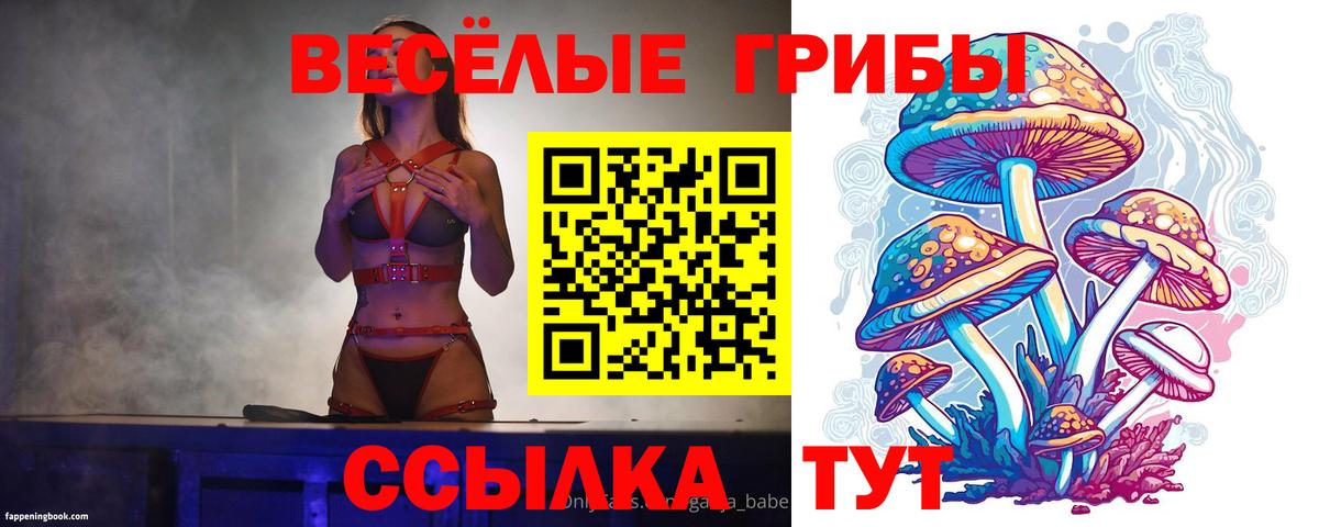 Пенза  Псилоцибиновые грибы Cubensis  Вход с VPN 
