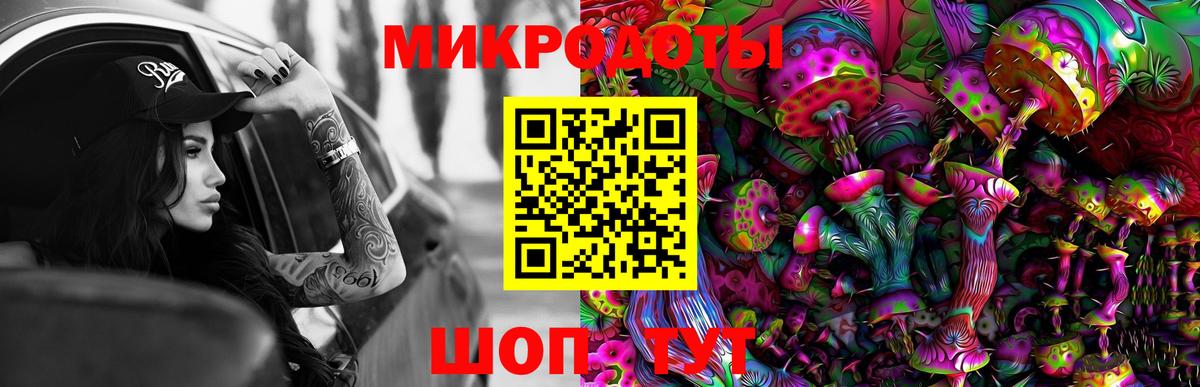 Псилоцибиновые грибы прущие грибы Пенза