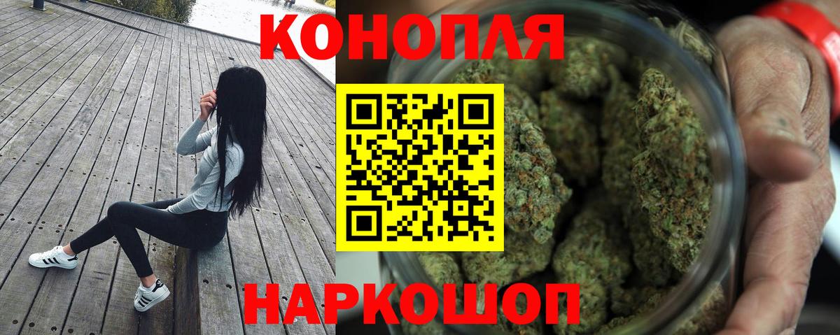 Марихуана семена  Бошки марихуана OG Kush  Бошки марихуана план  Вход с VPN  Пенза 