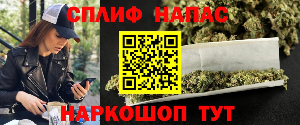 ГАШ Пенза